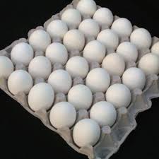 كرتونة بيض