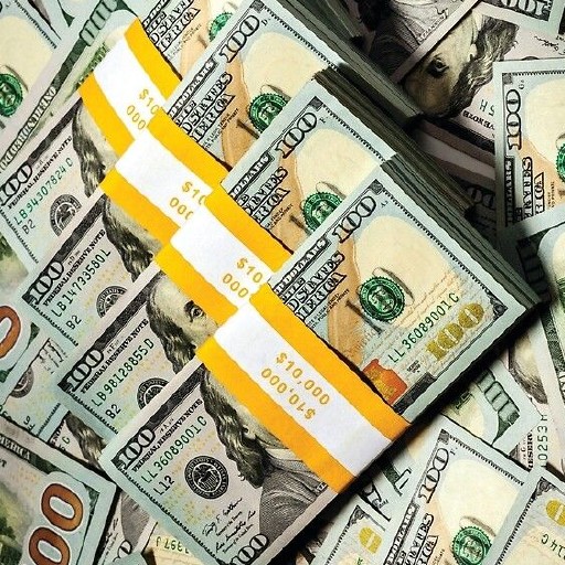 سعر الدولار