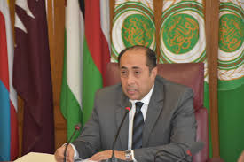السفير حسام زكي، أمين عام مساعد جامعة الدول العربية