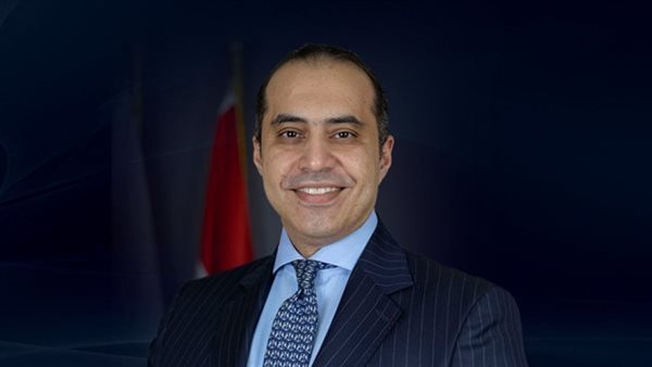 المستشار محمود فوزي وزير الشئون النيابية والقانونية
