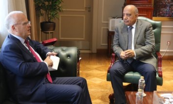 وزير الكهرباء