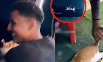 الشيخ محمود ياسين يسب شباب علي الفيس قائلا ولاد .. وهيطلع … أمهم