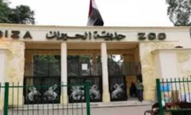 حديقة الحيوان 