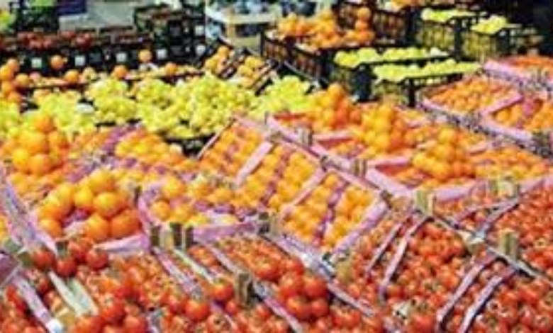 سمير النجار: الزراعة المصرية تسير بخطى واثقة نحو طفرة إنتاجية وتصديرية