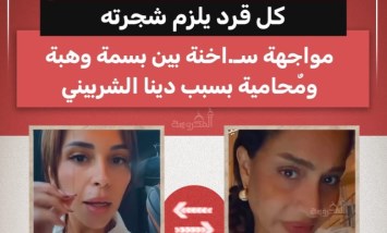 "كل قرد يلزم شجرته".. مشادة حادة بين بسمة وهبة وسارة درويش دفاعاً عن دينا الشربيني