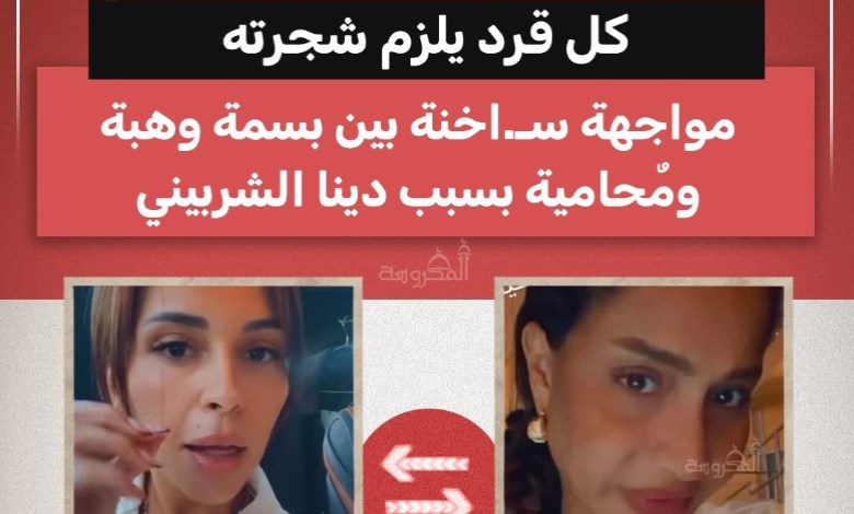 "كل قرد يلزم شجرته".. مشادة حادة بين بسمة وهبة وسارة درويش دفاعاً عن دينا الشربيني