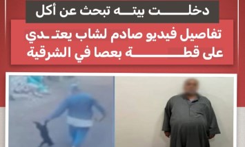 قطة تبحث عن الطعام فتنتهي بالاعتداء.. فيديو يهز الشرقية والتحقيقات تبدأ