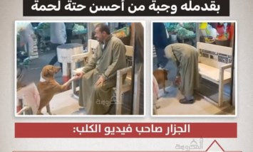 الجزار