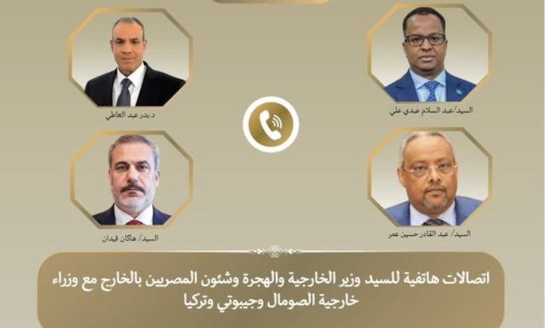 رفض مصري تركي جيبوتي 