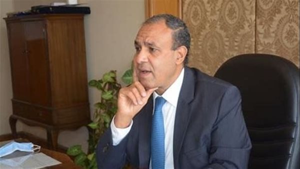 وزير الخارجية الدكتور بدر عبدالعاطي
