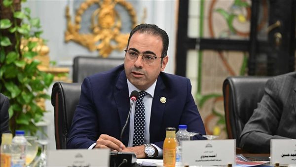 الدكتور محمود حسين رئيس لجنة الشباب والرياضة بمجلس النواب
