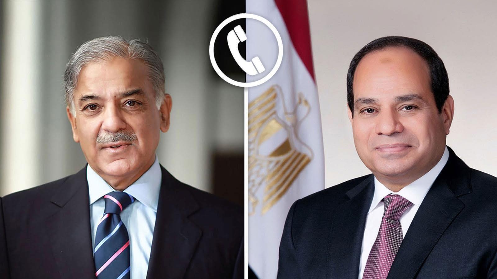 السيسي ورئيس الوزراء الباكستاني
