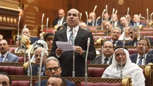 ياسر الهضيبي، عضو مجلس الشيوخ