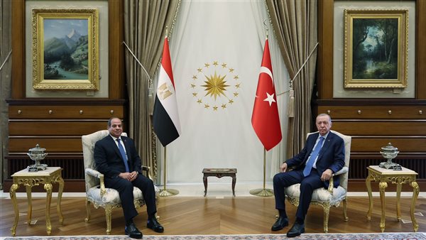 السيسي وأردوغان