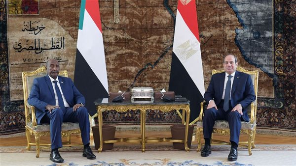 الرئيس عبد الفتاح السيسي
