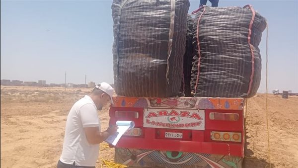 الزراعة: فحص 1.3 مليون طن بطاطس مائدة بغرض التصدير