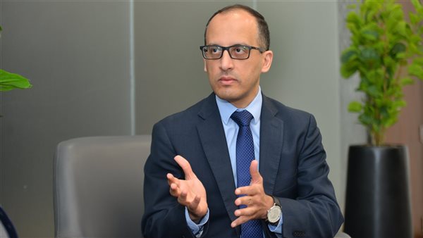 المستشار محمد الحمصاني متحدث الحكومة
