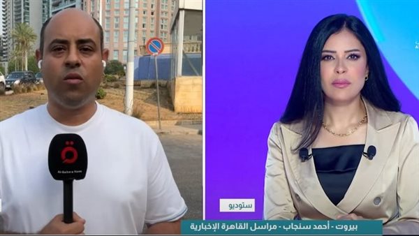 جانب من المداخلة على القاهرة الإخبارية