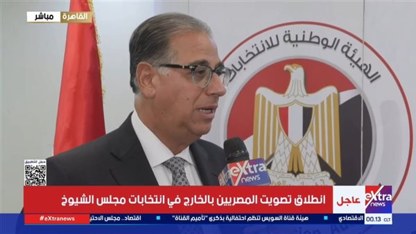 نائب وزير الخارجية لشئون المصريين في الخارج
