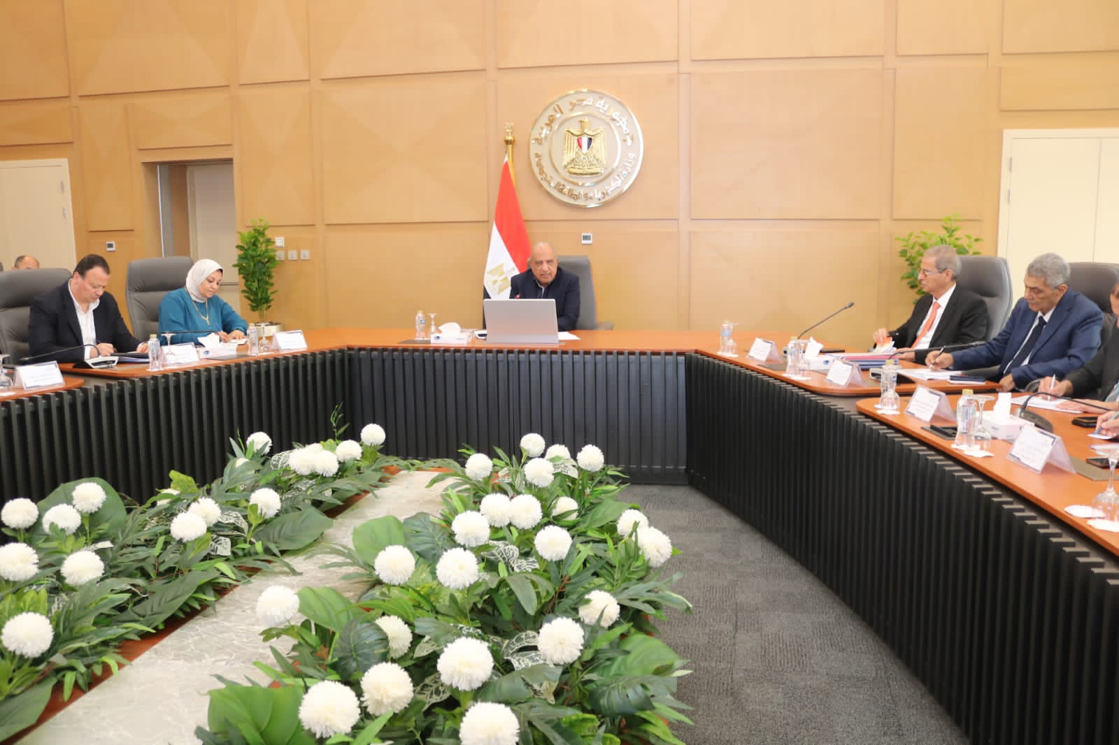 وزير الكهرباء