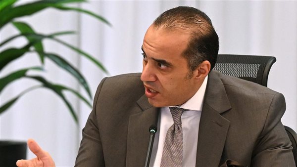 المستشار محمود فوزي