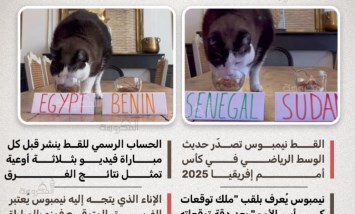 القط نيمبوس العراف يتوقع نتائج كأس الأمم الإفريقية 2025 بدقة مذهلة