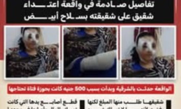 بسبب 500 جنيه.. تفاصيل صادمة لاعتداء شقيق على شقيقته بسلاح أبيض في الشرقية