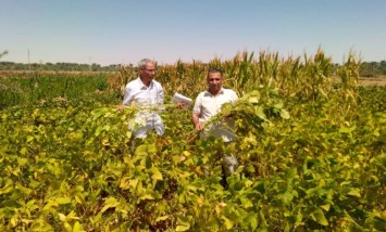 مركز بحوث الصحراء