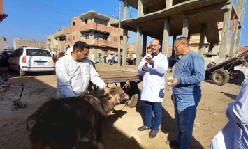 الزراعة: قوافل بيطرية مجانية تخدم 2600 قرية وتعالج 1.7 مليون رأس ماشية وطائر في 2025