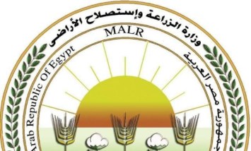 الزراعة": "اتحاد المصدرين" ينفذ 50 حقل ارشادي وتجريبي لاختيار أفضل الأصناف وتعزيز تنافسية محصول البطاطس 