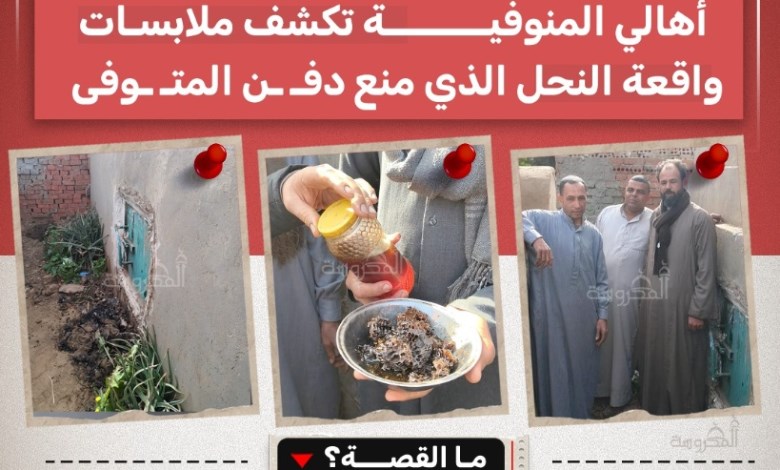 القبر متشمع بالعسل.. واقعة نادرة تمنع دفن متوفى في المنوفية