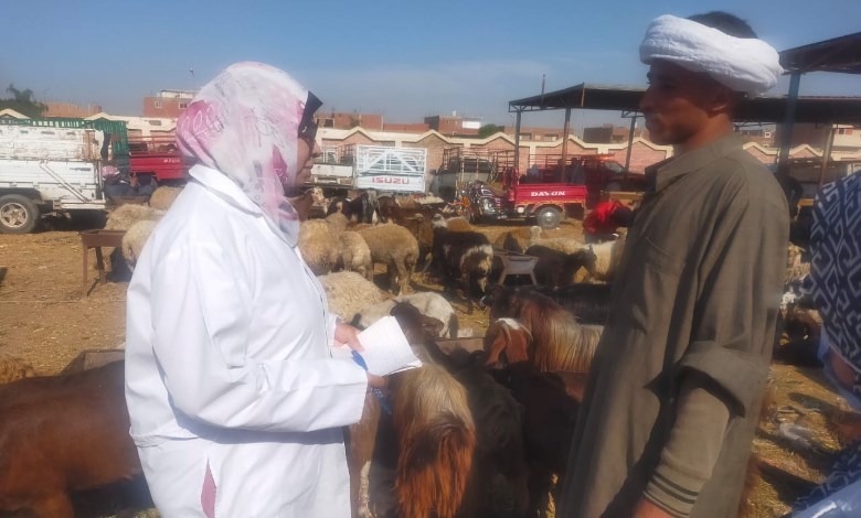 جانب من الجولة