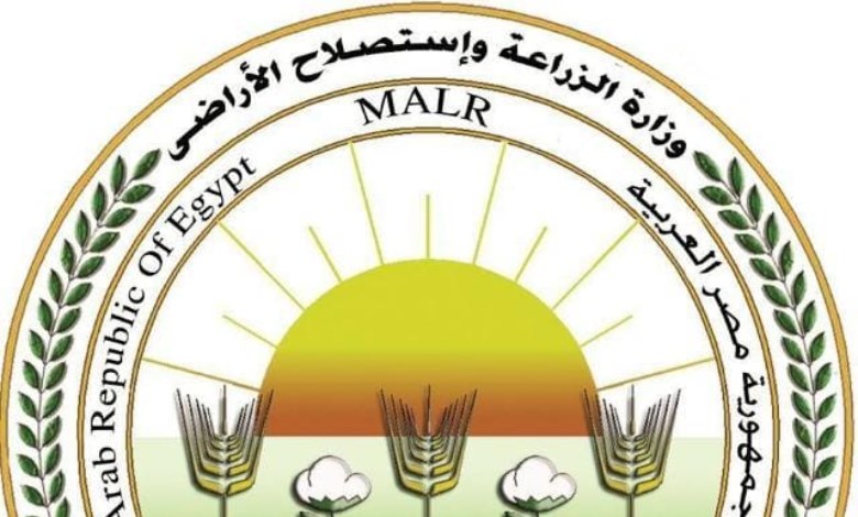 الزراعة": "اتحاد المصدرين" ينفذ 50 حقل ارشادي وتجريبي لاختيار أفضل الأصناف وتعزيز تنافسية محصول البطاطس 