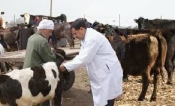 قوافل بيطرية