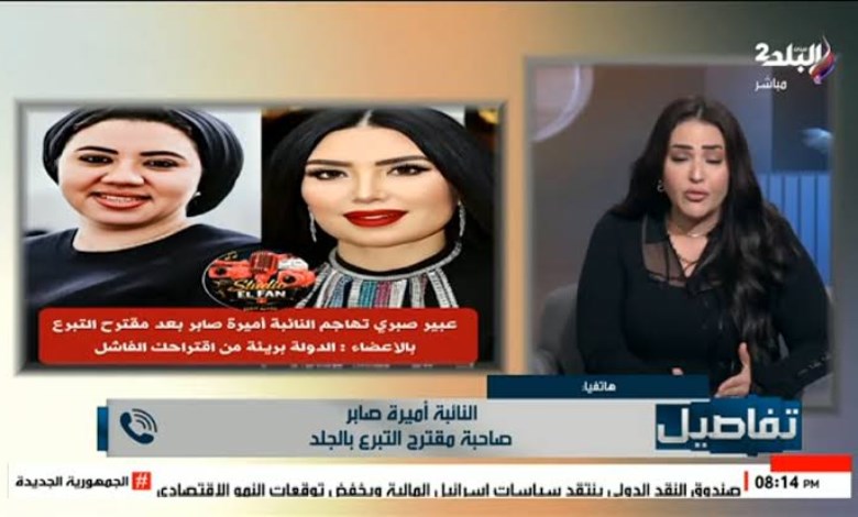 النائبة أميرة صابر 