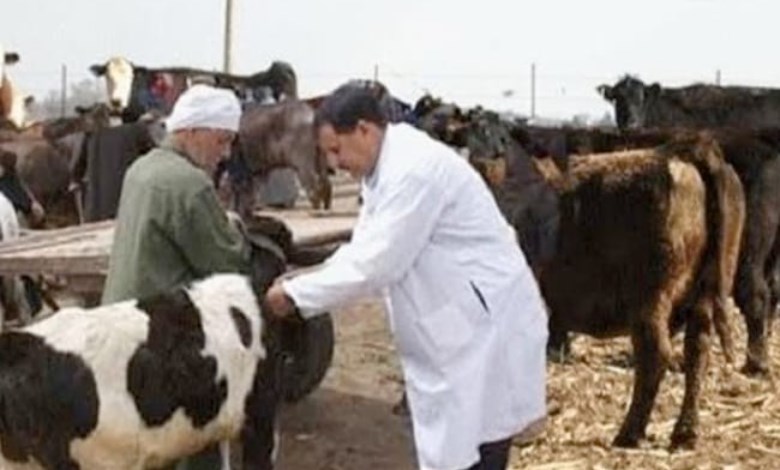 قوافل بيطرية