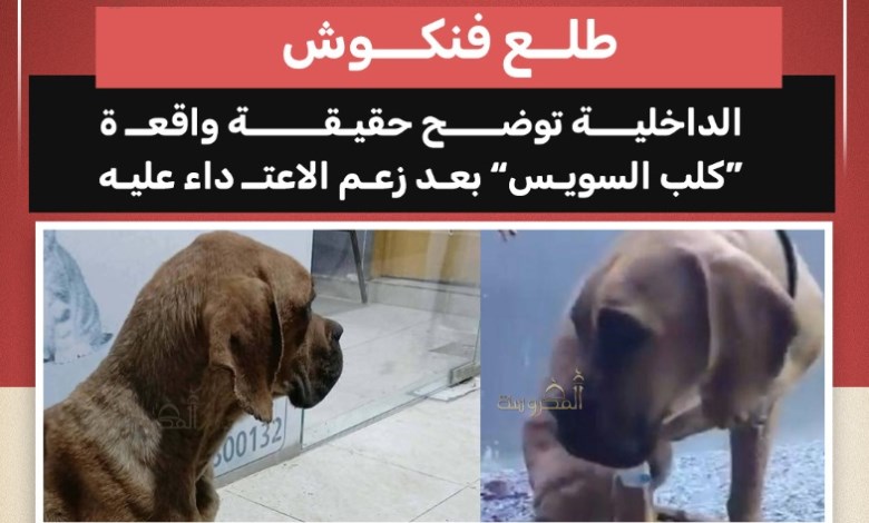 كلب السويس