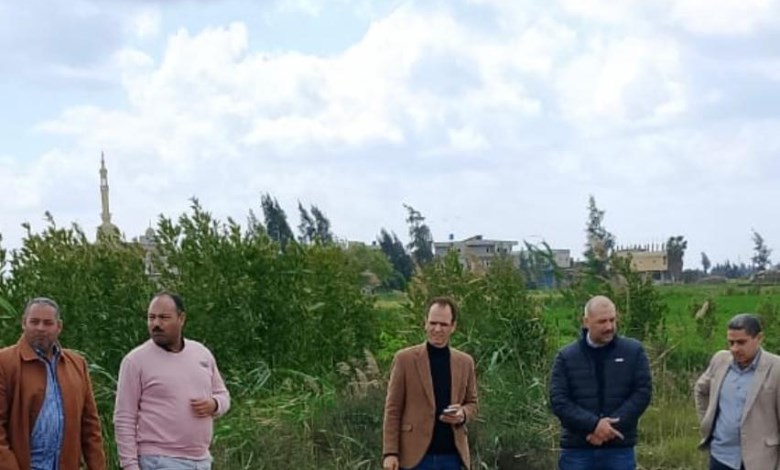 "الزراعة" تكثف حملاتها الميدانية لحماية الرقعة الزراعية وإزالة التعديات مع بداية إجازة العيد