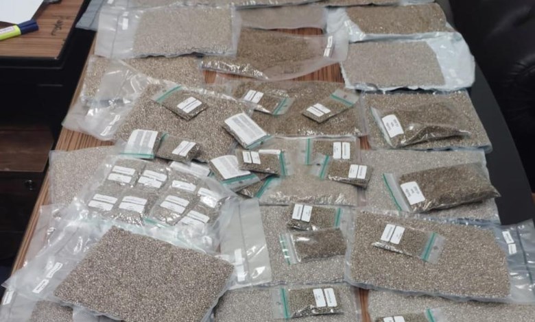 جمارك مطار القاهرة تحبط اخطر عملية تهريب مخدرات