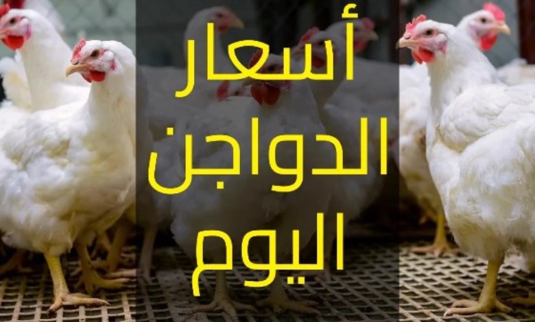 أسعار الدواجن اليوم
