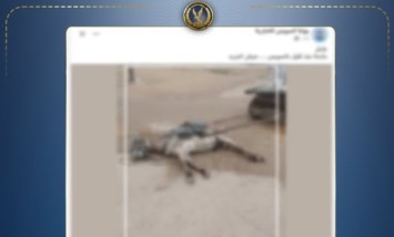 ماس كهربائي وراء الحادث.. الداخلية تكشف ملابسات نفوق دابة بالسويس