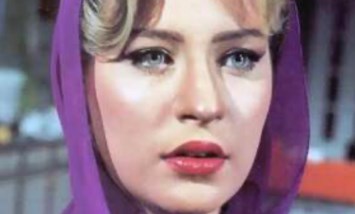 شيرين سيف النصر  