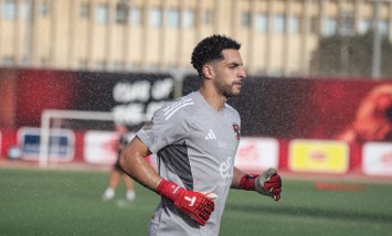 مصطفى شوبير