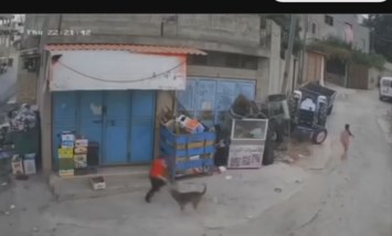 لحظة هجوم كلب عقور علي طفل وتدخل شاب لإنقاذه.. فيديو