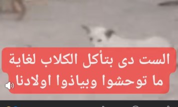 «بتجمع الكلاب في الشارع».. فيديو يثير غضب الأهالي 