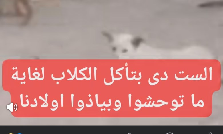 «بتجمع الكلاب في الشارع».. فيديو يثير غضب الأهالي 