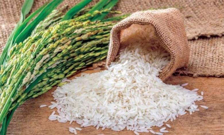 سعر طن الأرز اليوم 