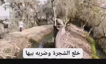 «خناقة صعيدي».. شجرة تتحول لـ «سلاح» خلال مشاجرة أمام الأهالي