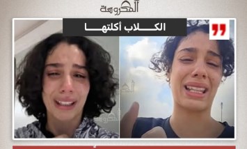 «كنت بدور عليها طول الليل».. دموع فتاة تروي اللحظات الأخيرة لقطتها بعد واقعة مؤلمة