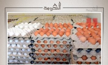 أزمة البيض تتصاعد.. منتجو الدواجن يطالبون بتدخل عاجل بعد تراجع الطلب وارتفاع الفائض